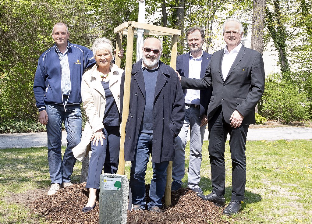 Engagierte Kremser gründen Initiative „Klimabaum Krems“